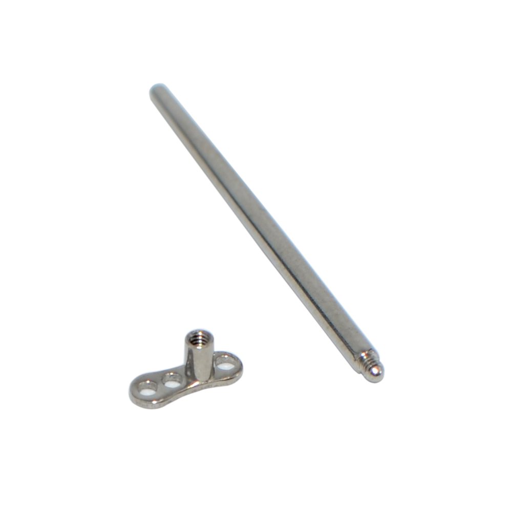 316L Surgical Stainless Steel  - Body Jewelry Surgical Steel ulasan dan harga